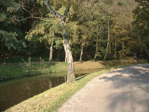 Weg am Rotbachsee