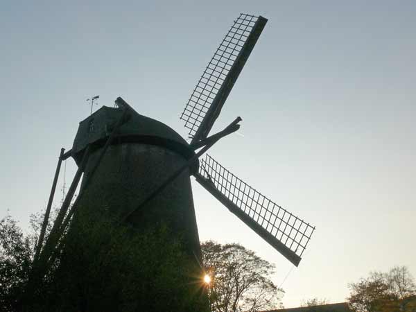 Die Windmühle