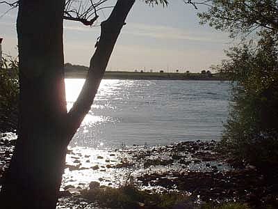 Der Rotbach m�ndet im Rhein. 