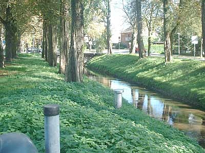 Der Rotbach in der N�he der Trabrennbahn.